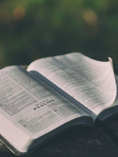 The Bible