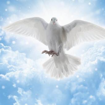 Holy Ghost Baptism 